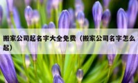 搬家公司起名字大全免費（搬家公司名字怎么起）