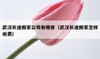 武漢長途搬家公司有哪些（武漢長途搬家怎樣收費(fèi)）