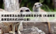 長途搬家怎么收費長途搬家多少錢（長途搬家最便宜的方式1000公里）