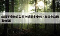 臨淄平安搬家公司電話是多少?。ㄅR淄辛店搬家公司）