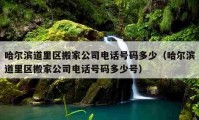 哈爾濱道里區(qū)搬家公司電話號(hào)碼多少（哈爾濱道里區(qū)搬家公司電話號(hào)碼多少號(hào)）