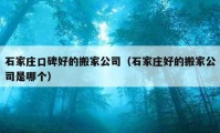 石家莊口碑好的搬家公司（石家莊好的搬家公司是哪個(gè)）