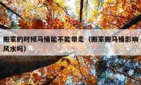 搬家的時(shí)候馬桶能不能帶走（搬家搬馬桶影響風(fēng)水嗎）