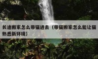 長途搬家怎么帶貓進去（帶貓搬家怎么能讓貓熟悉新環(huán)境）