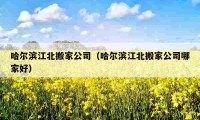 哈爾濱江北搬家公司（哈爾濱江北搬家公司哪家好）