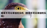 搬家不可以拿舊枕頭嗎（搬家不可以拿舊枕頭嗎）