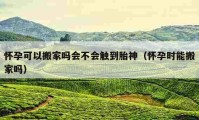 懷孕可以搬家嗎會(huì)不會(huì)觸到胎神（懷孕時(shí)能搬家嗎）