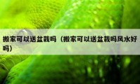 搬家可以送盆栽嗎（搬家可以送盆栽嗎風(fēng)水好嗎）