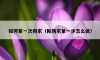 如何第一次搬家（搬新家第一步怎么做）