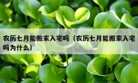 農(nóng)歷七月能搬家入宅嗎（農(nóng)歷七月能搬家入宅嗎為什么）