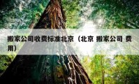 搬家公司收費(fèi)標(biāo)準(zhǔn)北京（北京 搬家公司 費(fèi)用）