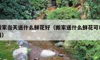 搬家當天送什么鮮花好（搬家送什么鮮花可以嗎）