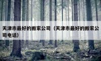 天津市最好的搬家公司（天津市最好的搬家公司電話）