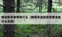 搬進(jìn)新家需要做什么（搬新家進(jìn)新房需要準(zhǔn)備什么東西）