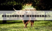 搬家應(yīng)該帶哪些東西（搬家?guī)男〇|西進門）