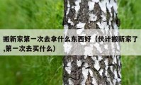 搬新家第一次去拿什么東西好（伙計(jì)搬新家了,第一次去買(mǎi)什么）