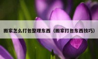 搬家怎么打包整理東西（搬家打包東西技巧）