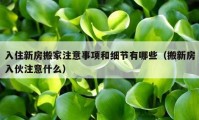 入住新房搬家注意事項(xiàng)和細(xì)節(jié)有哪些（搬新房入伙注意什么）