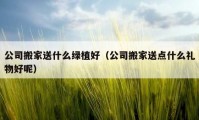 公司搬家送什么綠植好（公司搬家送點什么禮物好呢）