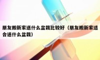 朋友搬新家送什么盆栽比較好（朋友搬新家適合送什么盆栽）