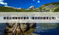 搬家公司哪家好重慶（重慶好的搬家公司）