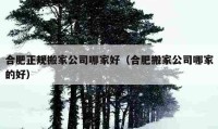 合肥正規(guī)搬家公司哪家好（合肥搬家公司哪家的好）