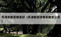 天津市搬家哪家好（天津搬家找哪家搬家公司）