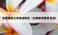 合肥搬家公司電話附近（合肥搬家聯(lián)系電話）