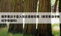 搬家看日子是入住還是搬東西（搬家看日子有科學(xué)依據(jù)嗎）