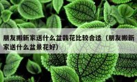 朋友搬新家送什么盆栽花比較合適（朋友搬新家送什么盆景花好）