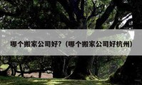 哪個搬家公司好?（哪個搬家公司好杭州）