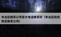 豐臺區(qū)搬家公司官方電話哪家好（豐臺區(qū)政府附近搬家公司）