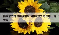 搬家菜刀可以寄快遞嗎（搬家菜刀可以帶上地鐵嗎）