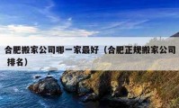 合肥搬家公司哪一家最好（合肥正規(guī)搬家公司 排名）